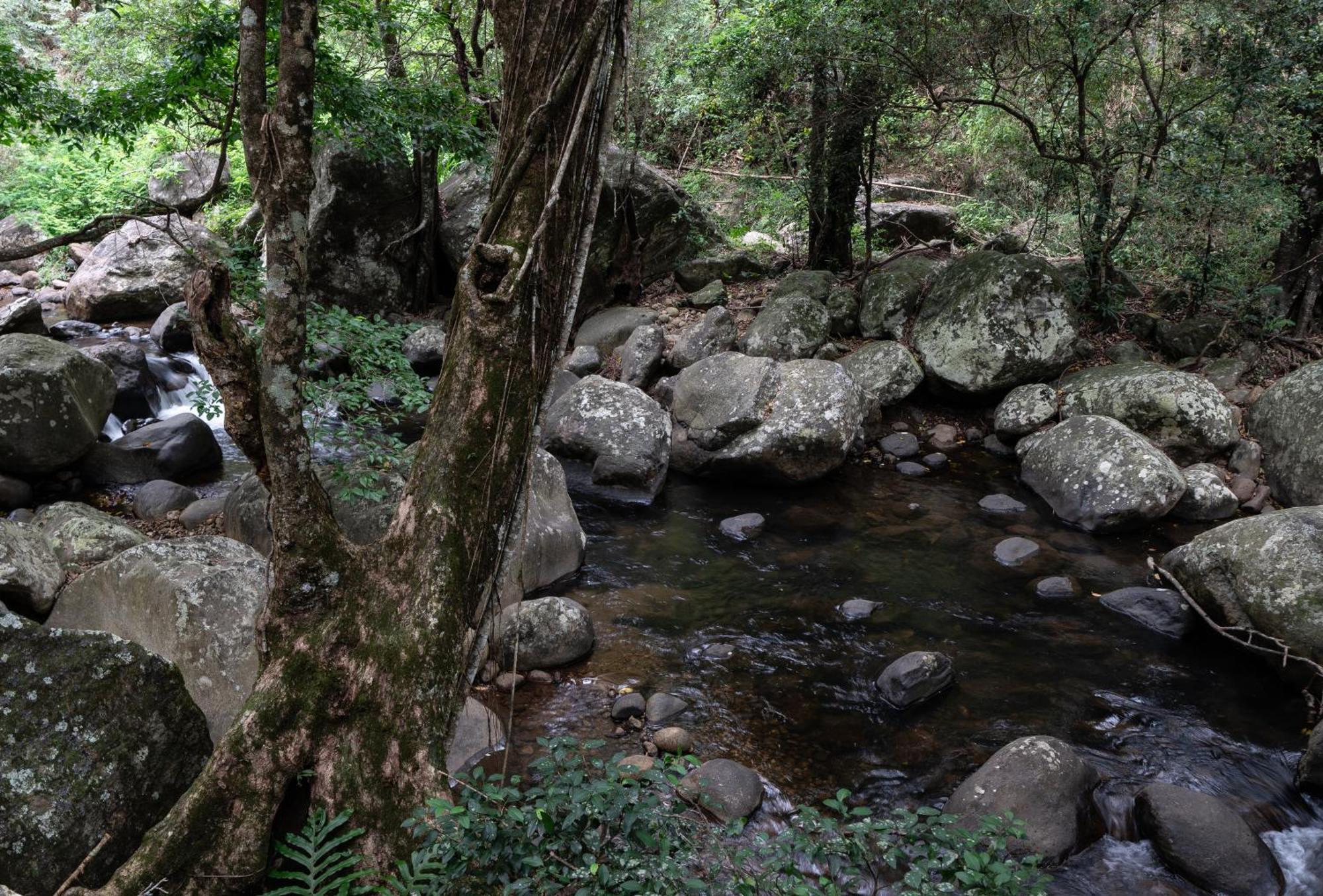 The Glenrock Wellness Nature Resort Belihuloya Luaran gambar