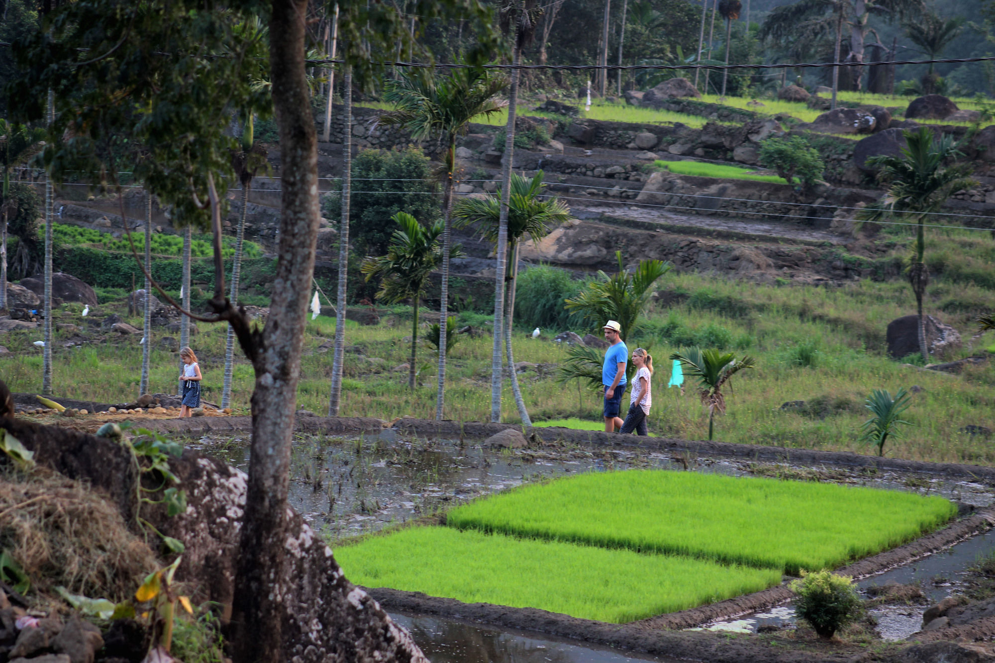 The Glenrock Wellness Nature Resort Belihuloya Luaran gambar