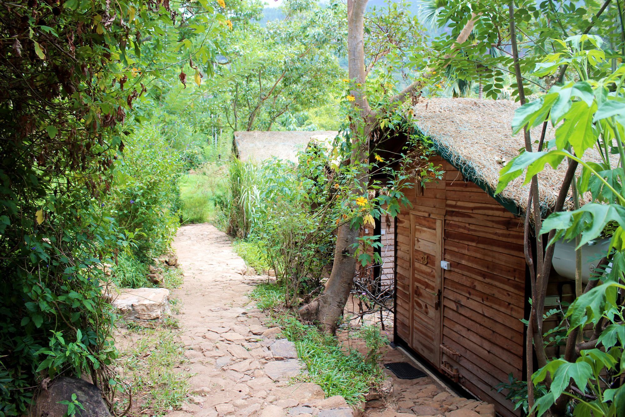 The Glenrock Wellness Nature Resort Belihuloya Luaran gambar