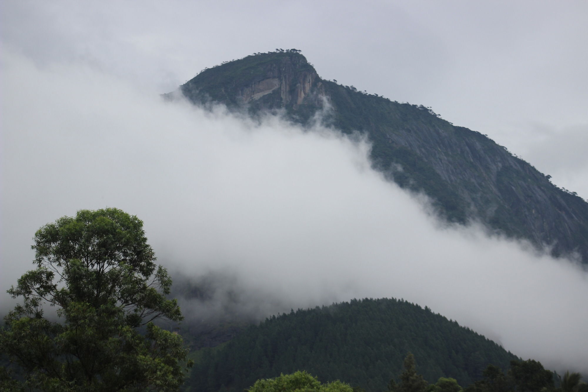 The Glenrock Wellness Nature Resort Belihuloya Luaran gambar